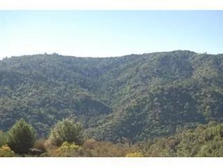 Croy Road Morgan Hill, CA 95037