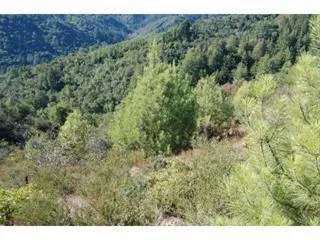 Croy Road Morgan Hill, CA 95037