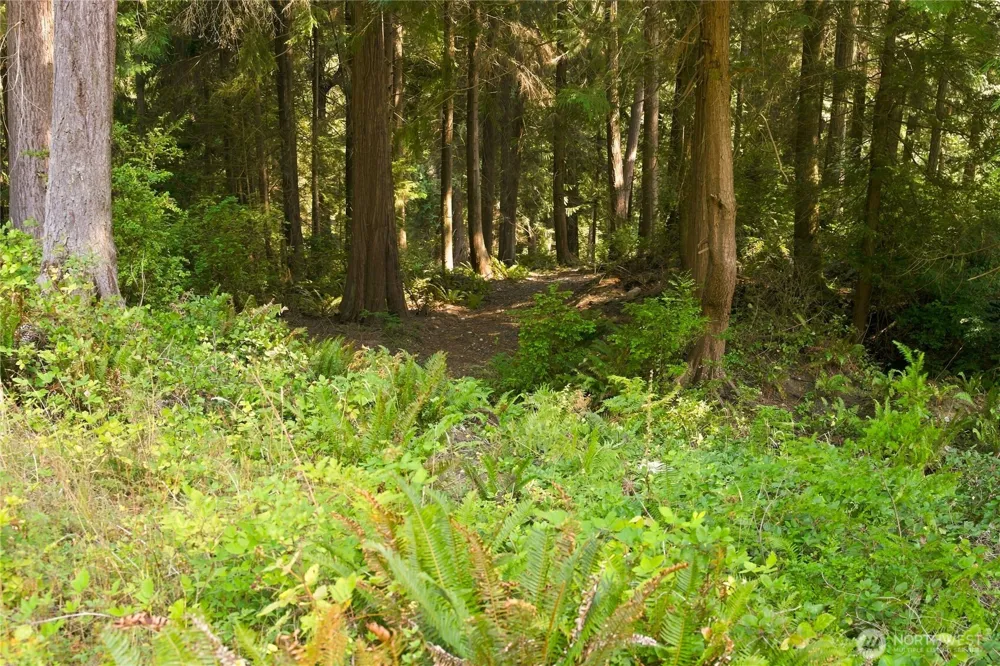 7495 Jewett Road Clinton, WA 98236