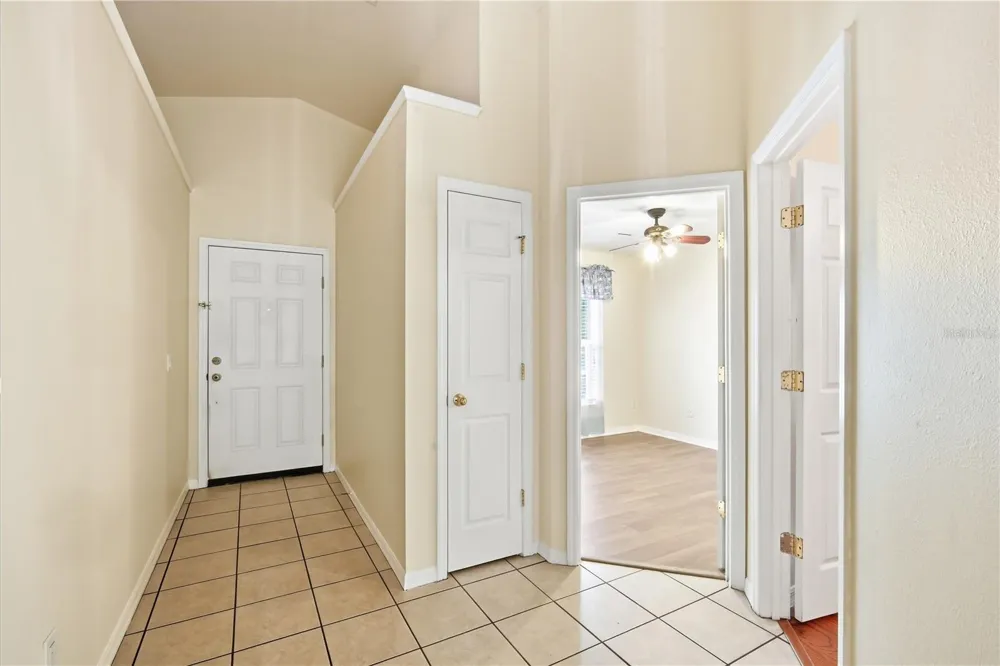 5246 MANGO FRUIT STREET Seffner, FL 33584