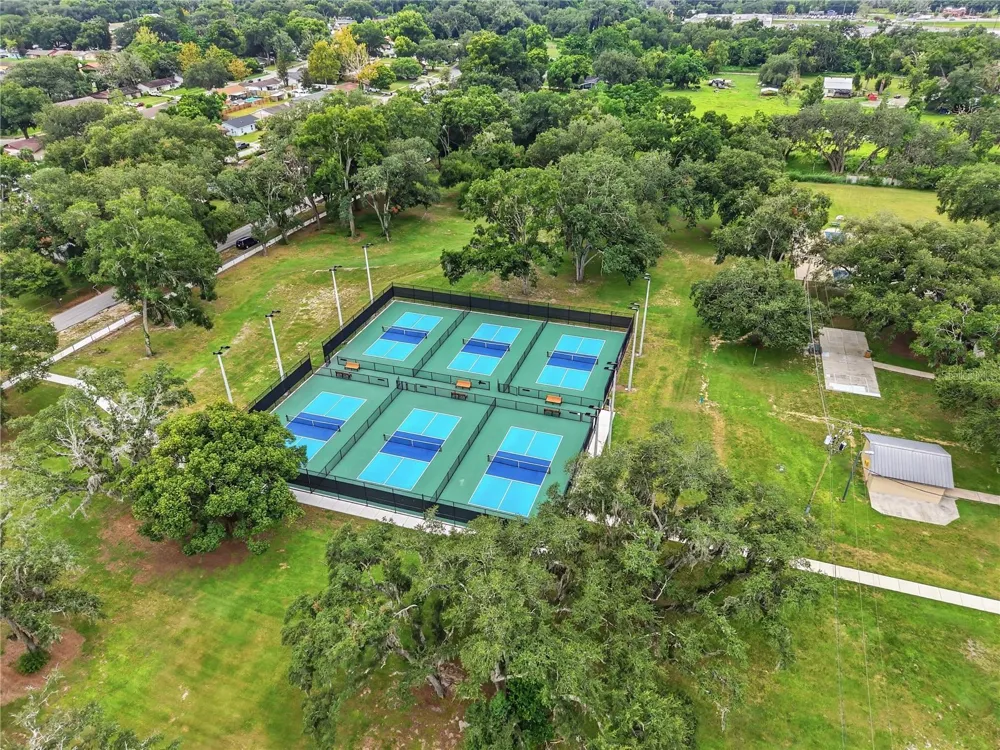 5246 MANGO FRUIT STREET Seffner, FL 33584