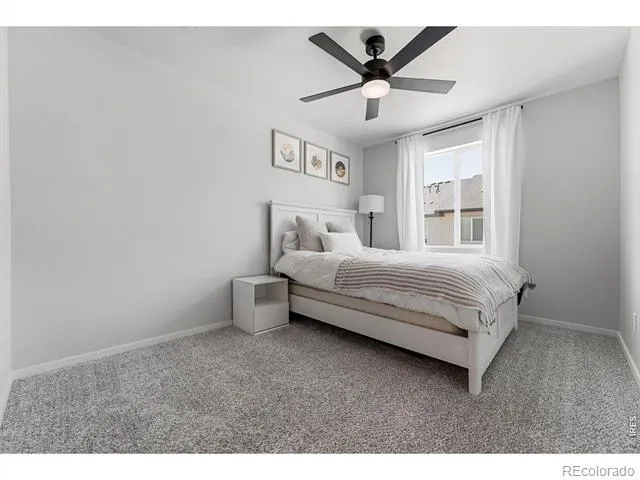 2968 Barnstormer Street #3 Fort Collins, CO 80524