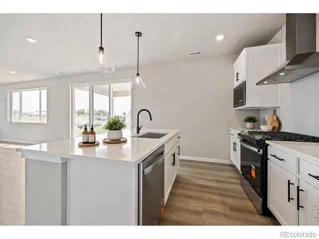 7336 Swan River Street Frederick, CO 80530
