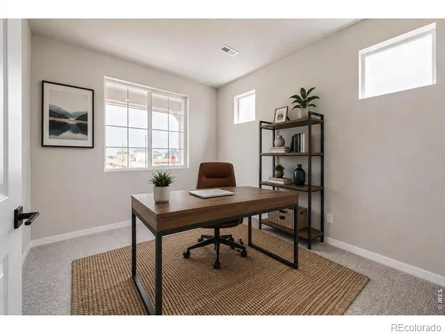 7336 Swan River Street Frederick, CO 80530