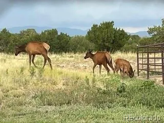 1035 Newton Road Pueblo, CO 81005