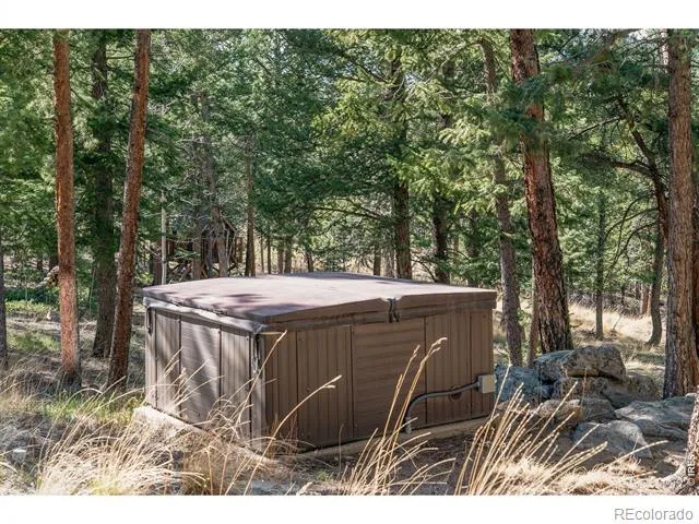 3725 Ridge Road Nederland, CO 80466
