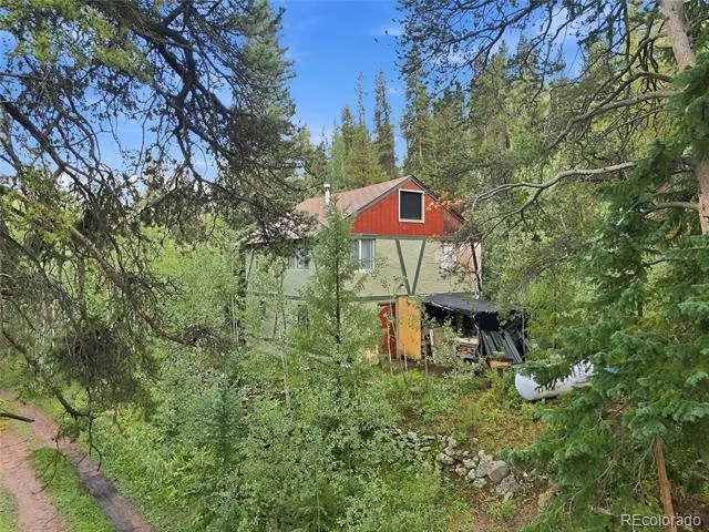 222 Road P60 Bailey, CO 80421