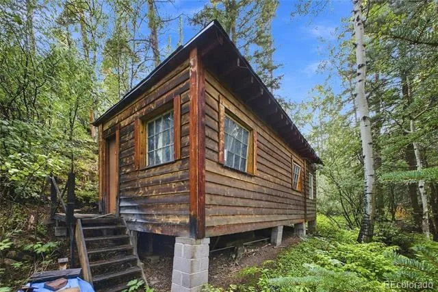 222 Road P60 Bailey, CO 80421