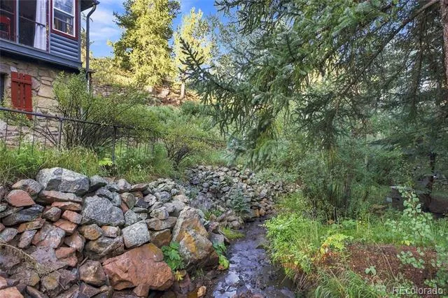 222 Road P60 Bailey, CO 80421