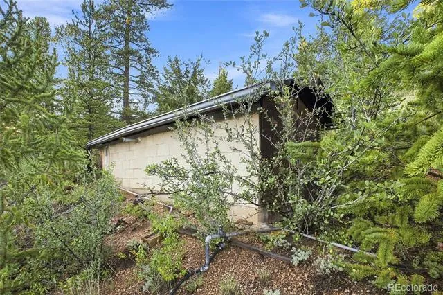 222 Road P60 Bailey, CO 80421