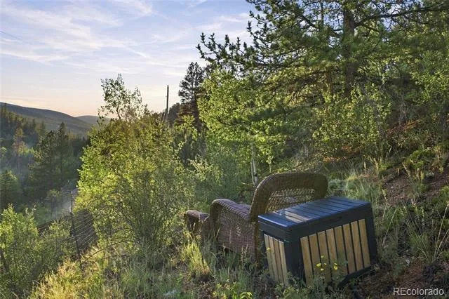 222 Road P60 Bailey, CO 80421