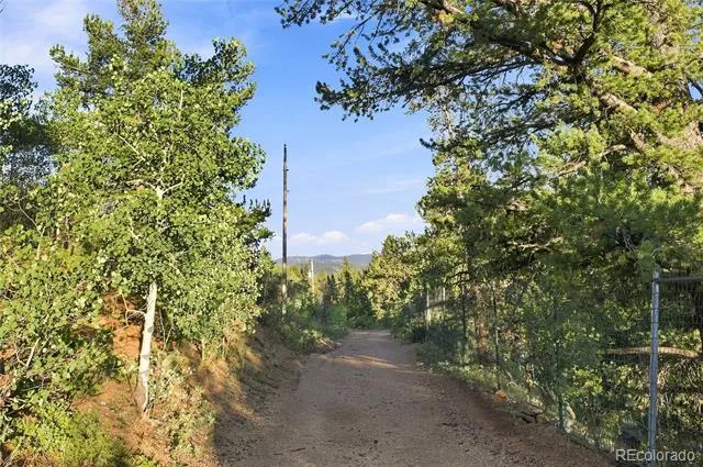 222 Road P60 Bailey, CO 80421