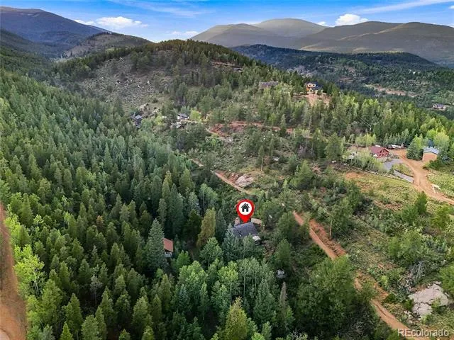 222 Road P60 Bailey, CO 80421