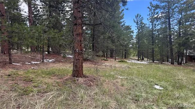717 Crescent Lake Road Golden, CO 80403