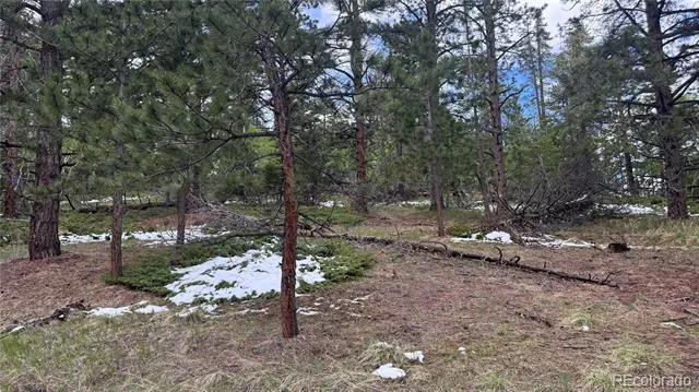 717 Crescent Lake Road Golden, CO 80403