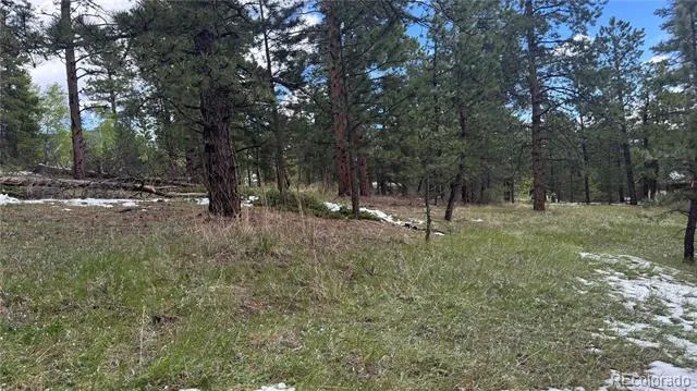 717 Crescent Lake Road Golden, CO 80403