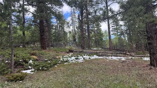 717 Crescent Lake Road Golden, CO 80403