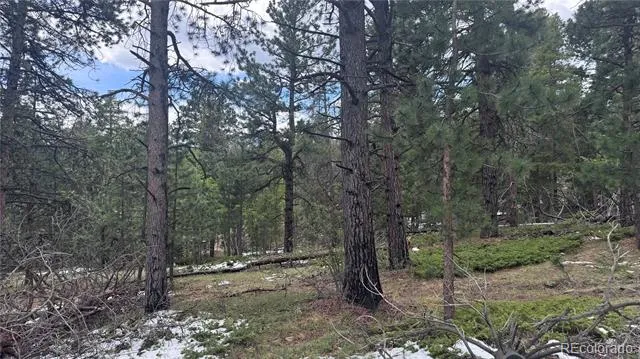 717 Crescent Lake Road Golden, CO 80403
