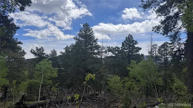 717 Crescent Lake Road Golden, CO 80403