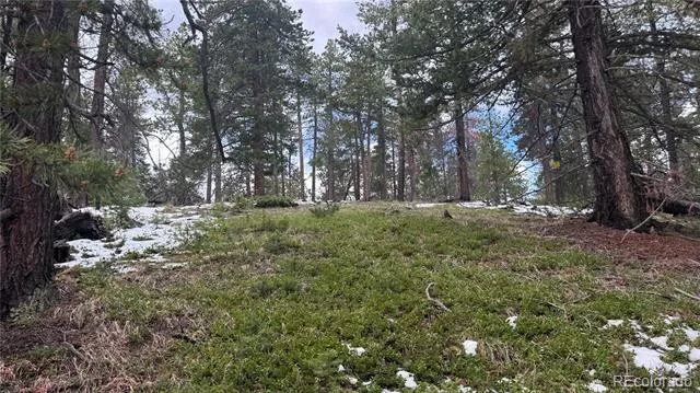 717 Crescent Lake Road Golden, CO 80403