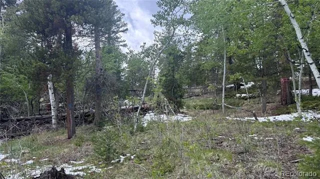 717 Crescent Lake Road Golden, CO 80403