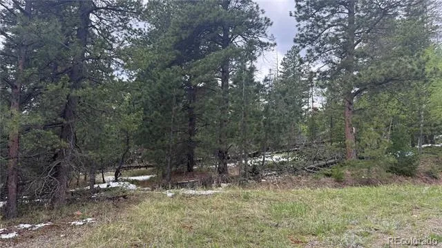 717 Crescent Lake Road Golden, CO 80403