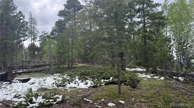 717 Crescent Lake Road Golden, CO 80403