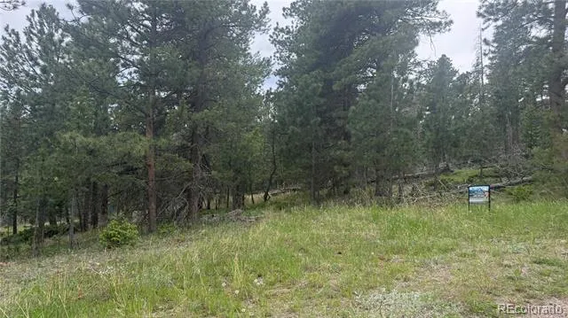 717 Crescent Lake Road Golden, CO 80403