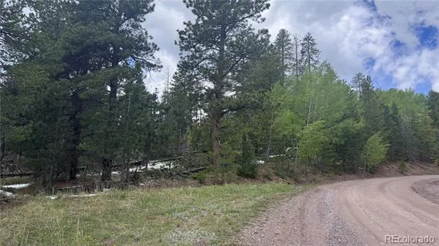717 Crescent Lake Road Golden, CO 80403