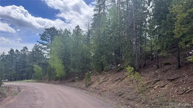 717 Crescent Lake Road Golden, CO 80403