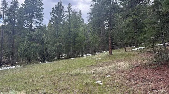717 Crescent Lake Road Golden, CO 80403