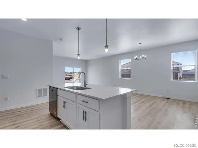 848 Trumpet Lane Windsor, CO 80550