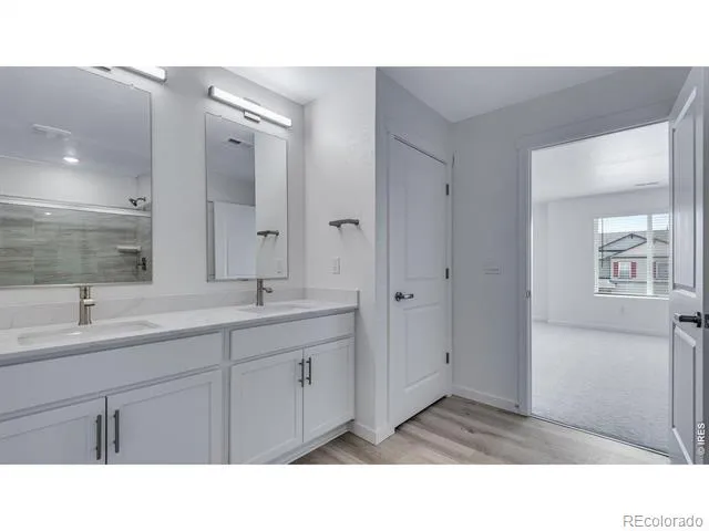 848 Trumpet Lane Windsor, CO 80550