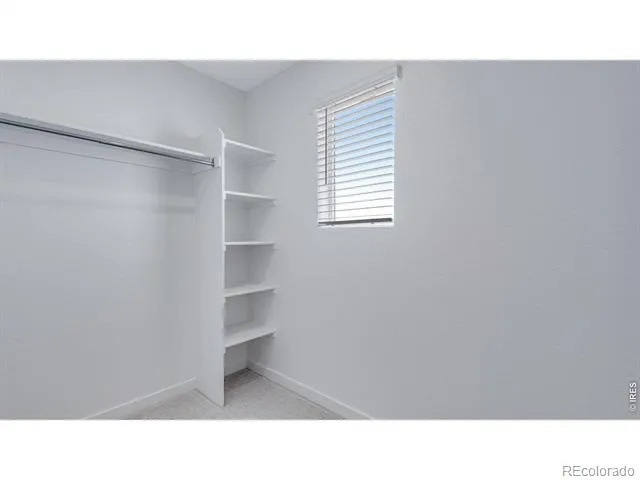 848 Trumpet Lane Windsor, CO 80550