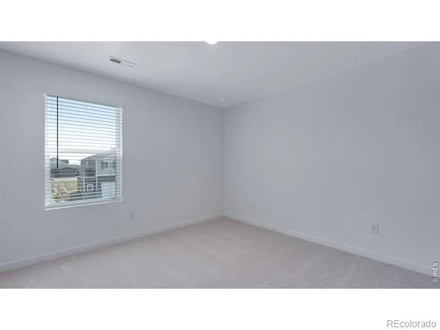 848 Trumpet Lane Windsor, CO 80550