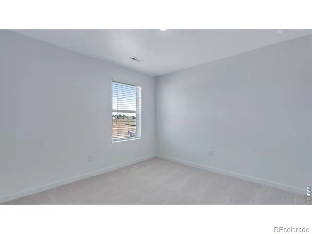 848 Trumpet Lane Windsor, CO 80550