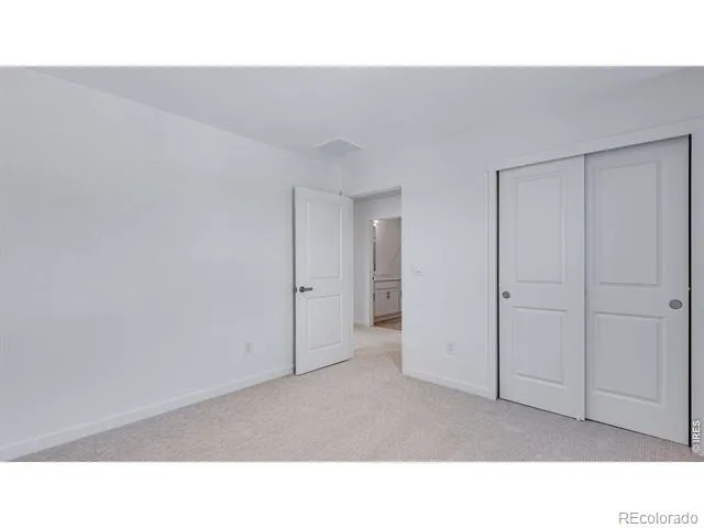 848 Trumpet Lane Windsor, CO 80550