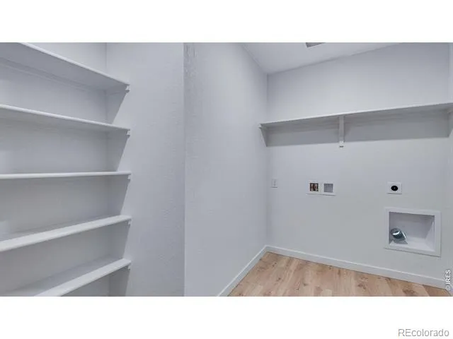 848 Trumpet Lane Windsor, CO 80550