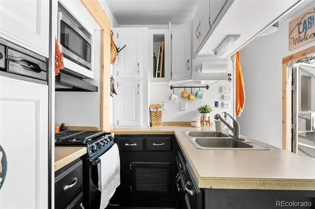 1459 Conestoga Creek Road Florissant, CO 80816