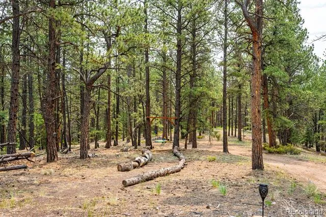 1459 Conestoga Creek Road Florissant, CO 80816