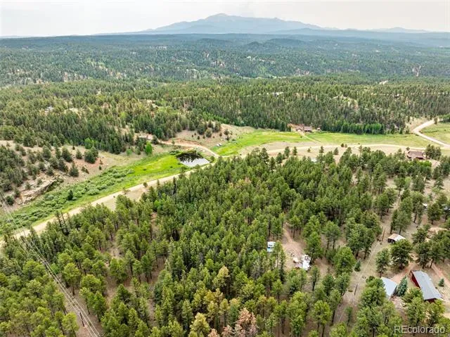 1459 Conestoga Creek Road Florissant, CO 80816