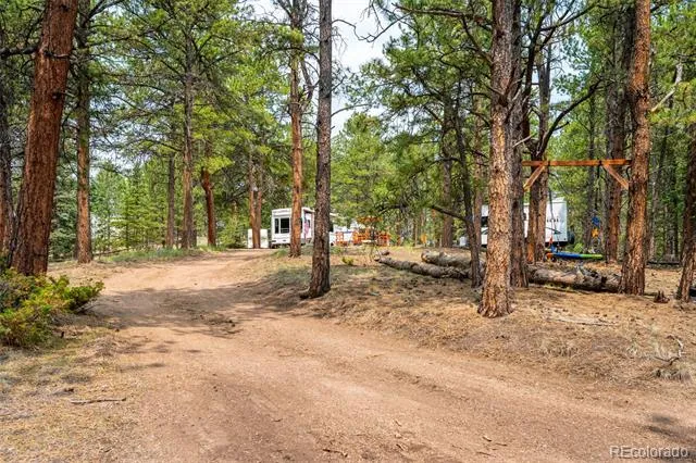 1459 Conestoga Creek Road Florissant, CO 80816