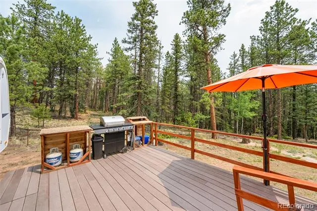 1459 Conestoga Creek Road Florissant, CO 80816
