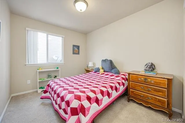 11381 Jersey Lane Thornton, CO 80233