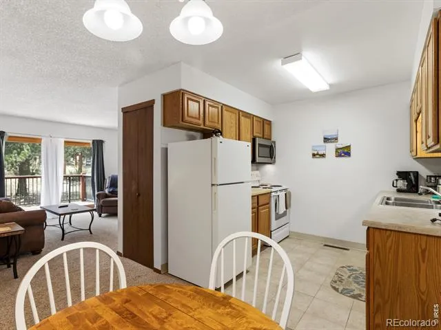 1155 S Saint Vrain Avenue #8 Estes Park, CO 80517