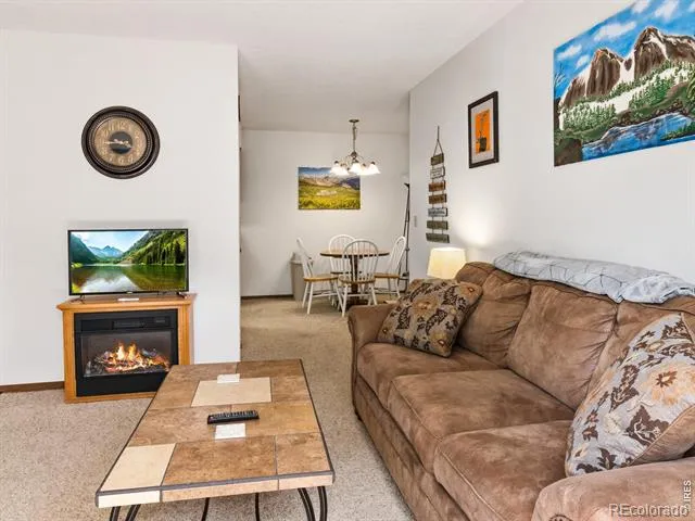 1155 S Saint Vrain Avenue #8 Estes Park, CO 80517