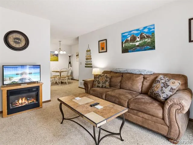 1155 S Saint Vrain Avenue #8 Estes Park, CO 80517