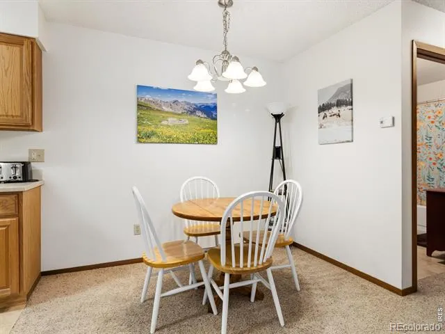 1155 S Saint Vrain Avenue #8 Estes Park, CO 80517