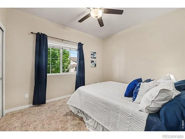 1593 Sierra Plaza Street Severance, CO 80550