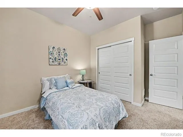 1593 Sierra Plaza Street Severance, CO 80550